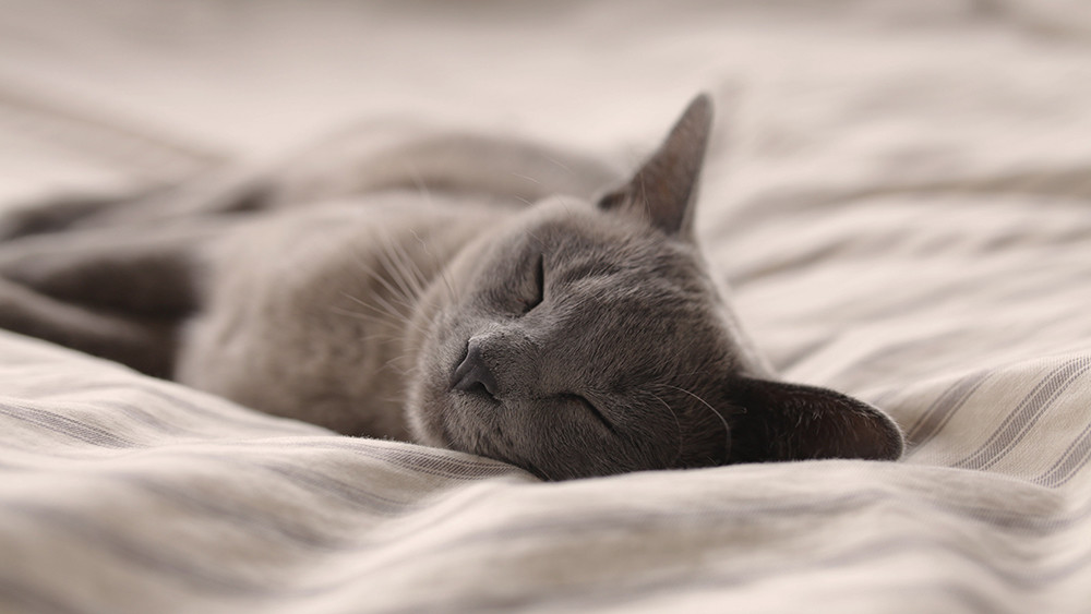 A pihentető alvás hozzájárul az egészséges életmódhoz