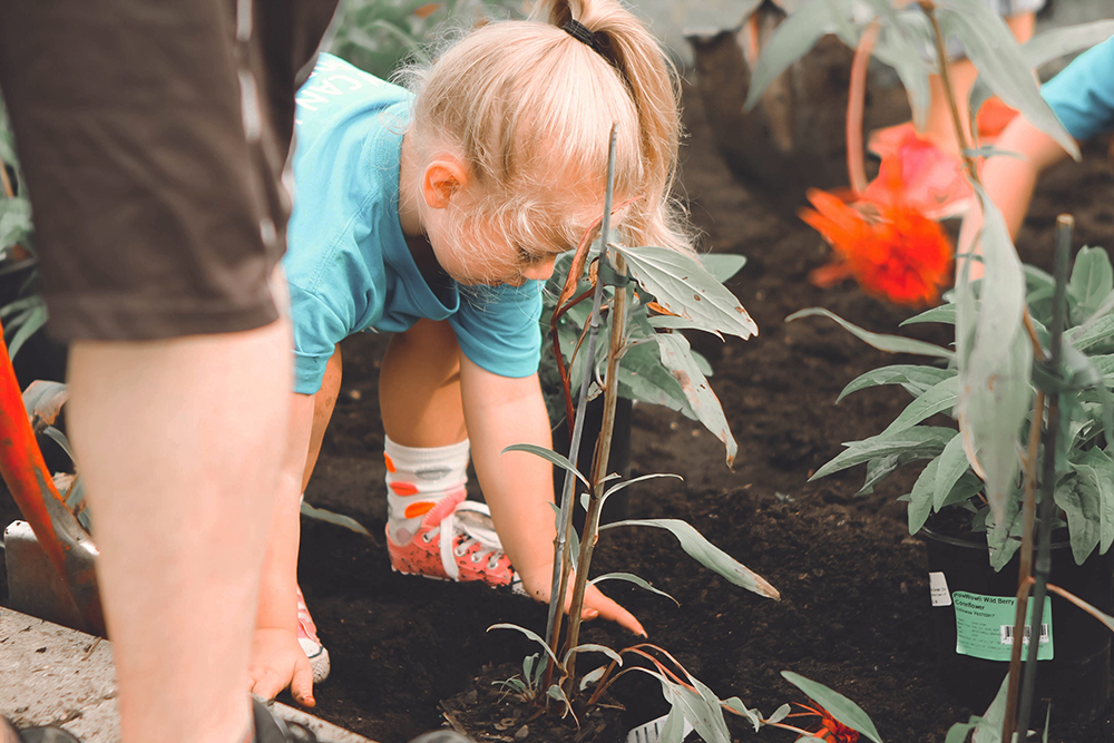 Irány a kert! – közös program a gyerekekkel márciusban
